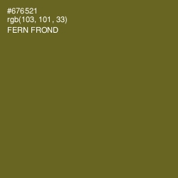 #676521 - Fern Frond Color Image